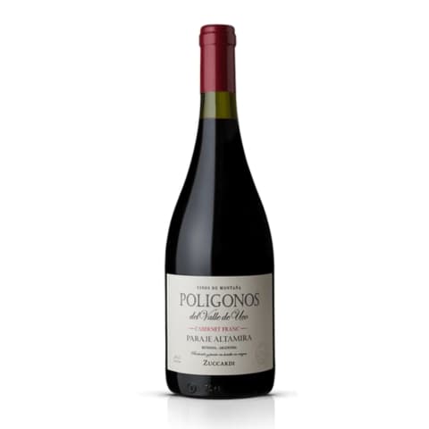 Poligonos Cabernet Franc Paraje Altamira
