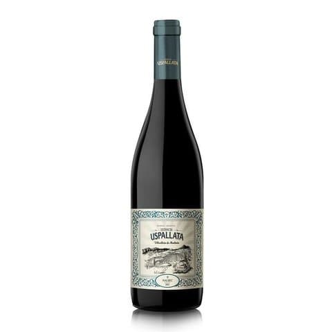 USPALLATA MALBEC