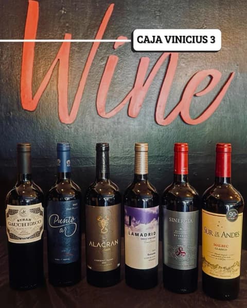 CAJA VINICIUS N°3