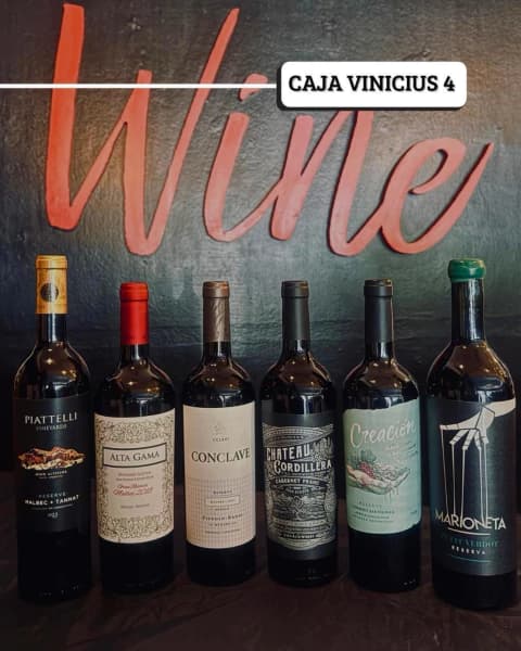 CAJA VINICIUS N°4