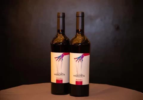MARIONETA MALBEC