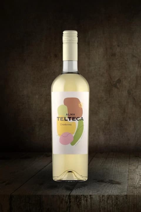 TIERRA TELTECA CHARDONNAY