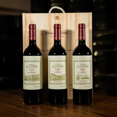 Alandes Triada Malbec Calchaqui Uco Valey Patagonia X3
