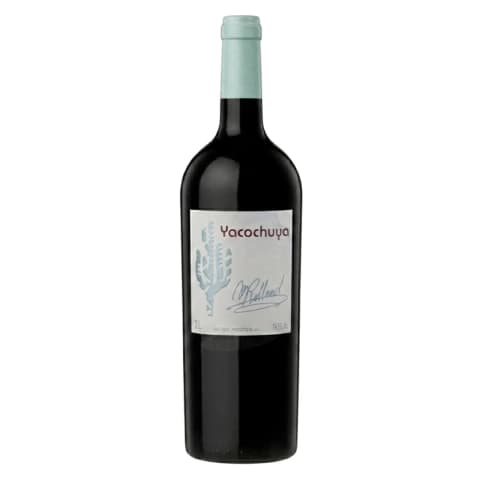 Yacochuya Malbec Doble Magnum