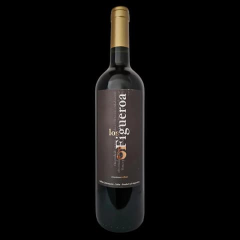 Los 5 Figueroa Malbec