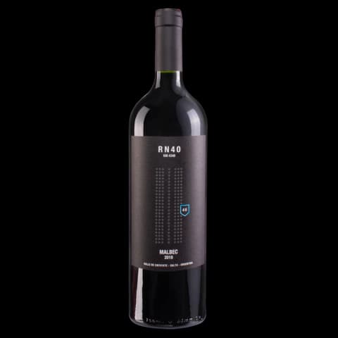 Viñas en flor - Ruta 40