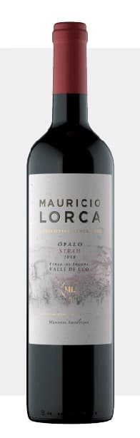 Ópalo Syrah