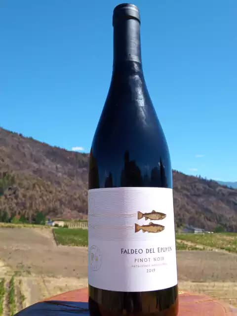 Faldeo del Epuyén Pinot Noir 2025 (750 ml)