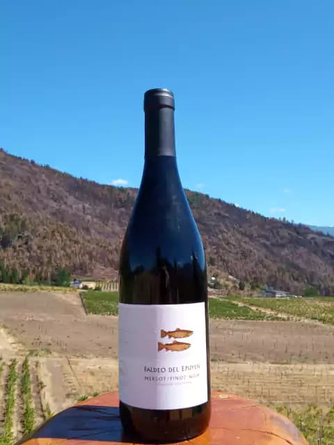 Faldeo del Epuyén Merlot - Pinot Noir (750 ml)