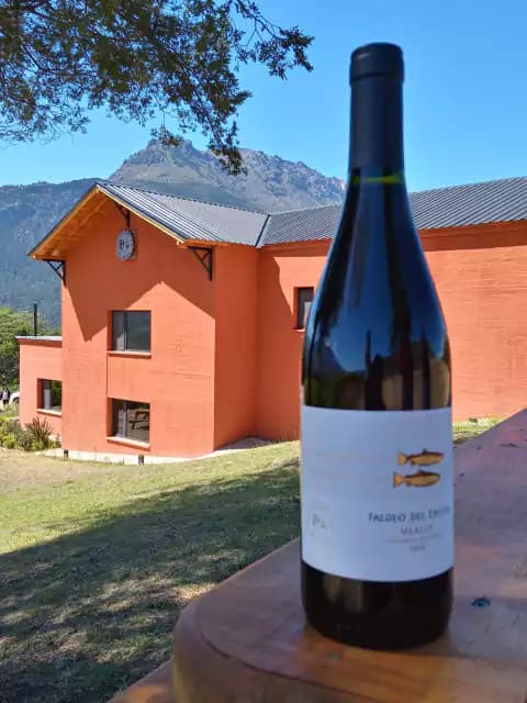 Faldeo del Epuyén Merlot 2020 (750 ml)