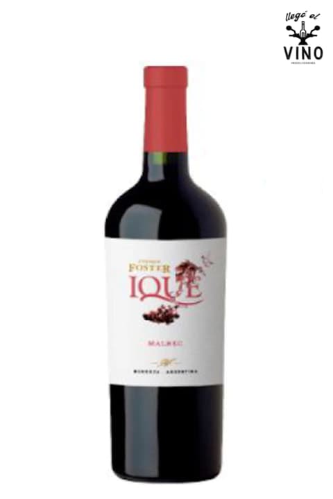 Ique. Malbec Magnum