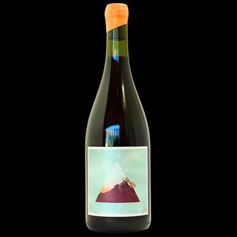 NODO FUEGO – CABERNET FRANC