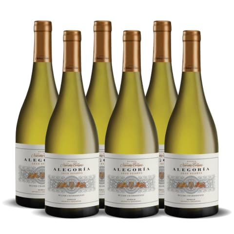 Navarro correas Alegoría Gran Reserva 2017 (Caja x 6)