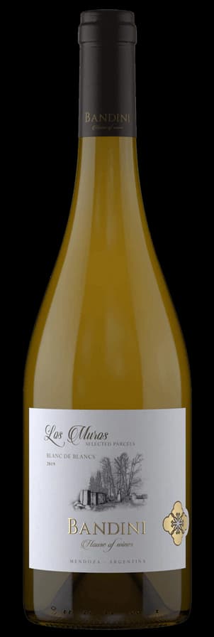 Finca Bandini Los Muros Blanc de Blancs