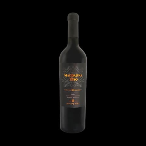 Pascual Toso Magdalena Barrancas Red Blend 2019
