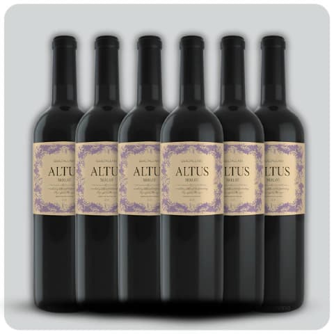 Altus Merlot (Gualtallary) - Caja sellada - 6 x 750 cc