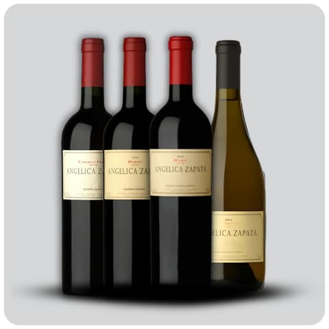 Degustación Angelica Zapata (Cabernet Franc + Merlot + Malbec + Chardonnay)