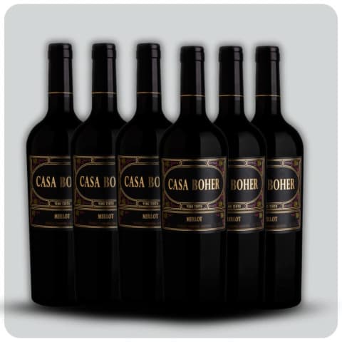 Casa Boher Merlot - Caja sellada - 6 x 750 cc