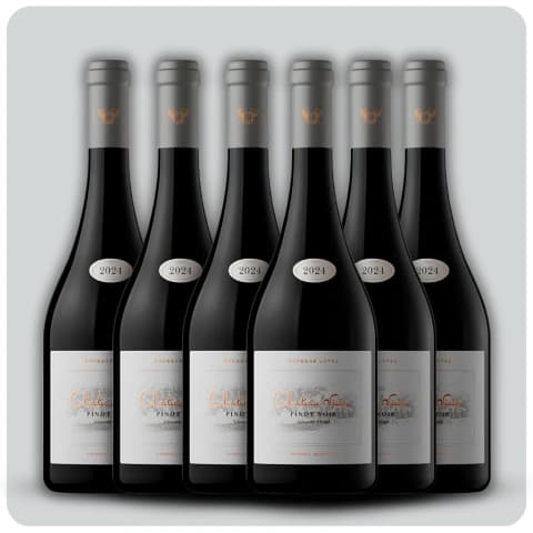 Chateau Vieux Pinot Noir - Estuche 6 x 750 cc