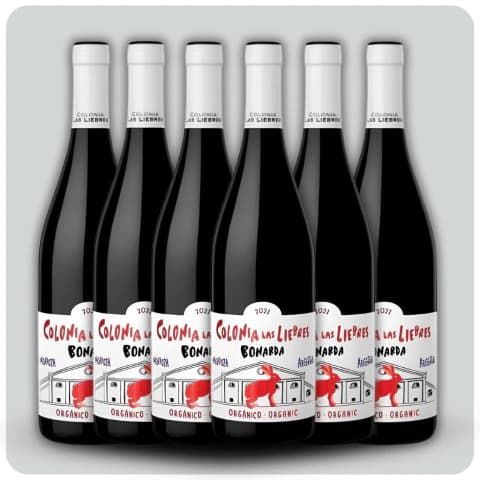 Colonia Las Liebres Bonarda (Altos Las Hormigas) - Caja sellada - 6 x 750 cc