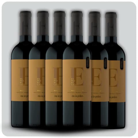 Exploración 6 Gualtallary Cabernet