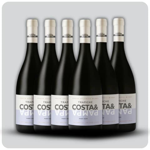 Costa & Pampa Pinot Noir - Caja sellada - 6 x 750 cc