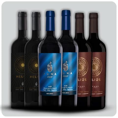 Degustación Bodega Puna - Caja 6 x 750 cc