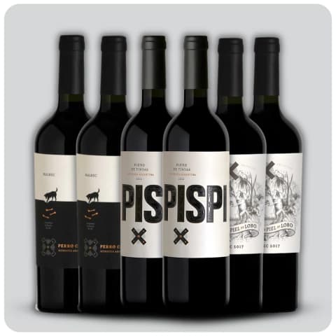 Degustacion Mosquita Muerta Wines - Caja 6 x 750 cc