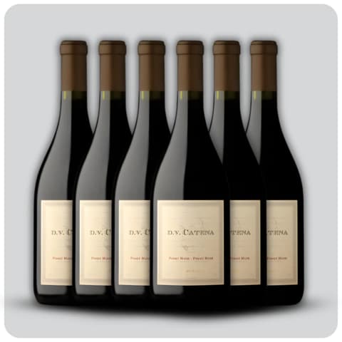 Dv Catena Pinot Noir - Pinot Noir - Caja sellada - 6 x 750 cc