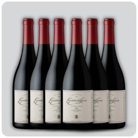 Escorihuela Gascon Pinot Noir - Caja sellada - 6 x 750 cc