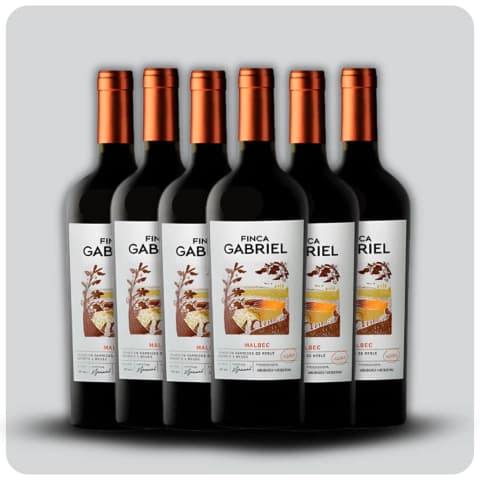 Finca Gabriel Malbec - Caja sellada - 6 x 750 cc