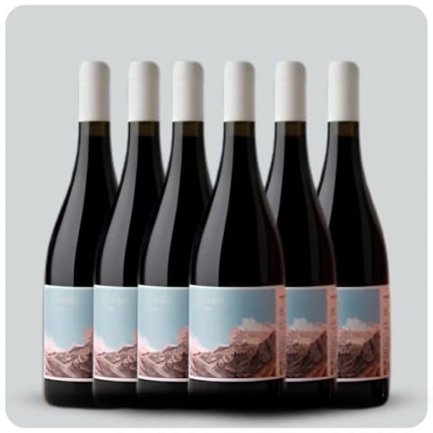 Finca Iral AURA Pinot Noir - Caja sellada - 6 x 750 cc