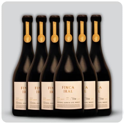 Exclusive Rows Cabernet Franc by Finca Iral - Caja sellada - 6 x 750 cc