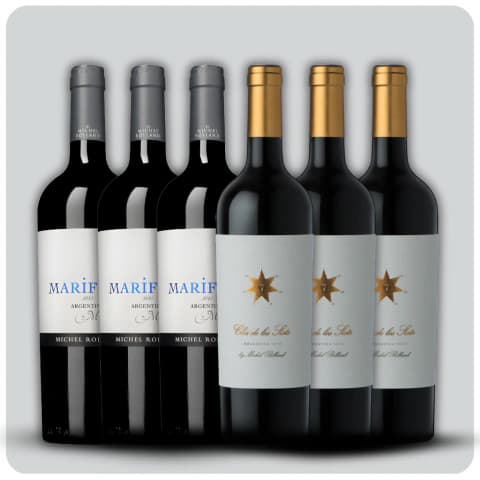 Mix Michelle Rolland - 3 Mariflor Malbec + 3 Clos de los Siete Blend tinto