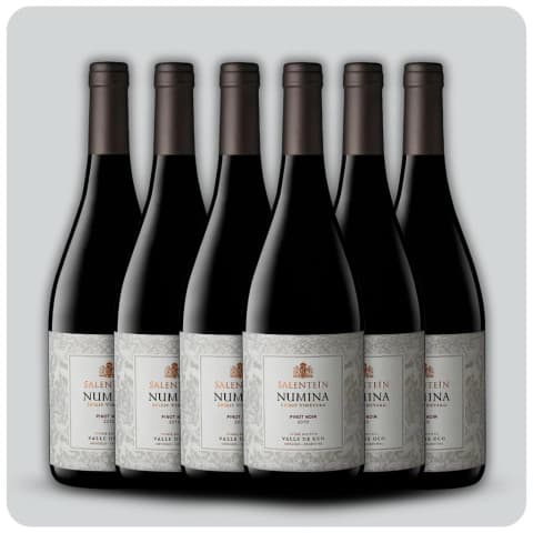 Salentein Numina Pinot Noir - Caja sellada - 6 x 750 cc