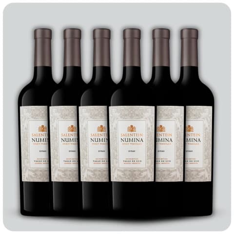 Salentein Numina Syrah - Caja sellada - 6 x 750 cc