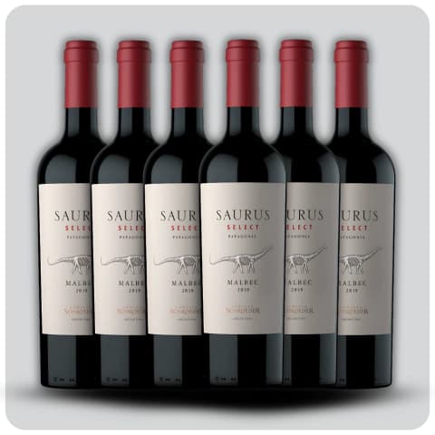Saurus Select Malbec - Caja sellada - 6 x 750 cc