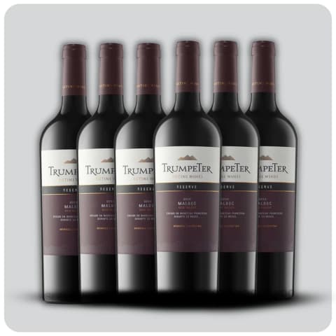 Trumpeter Reserva Malbec - Caja sellada - 6 x 750 cc