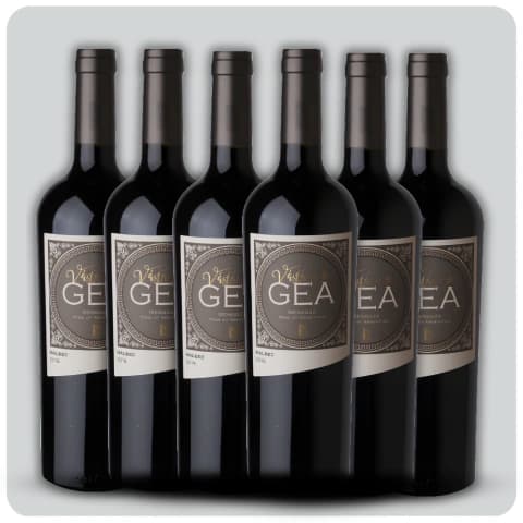 Vástago de Gea Malbec (Bodegas Staphyle) - Caja sellada - 6 x 750 cc