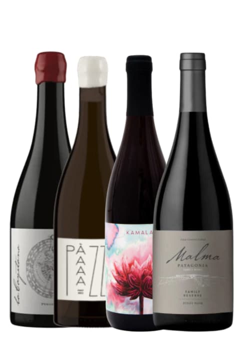 BOX PINOT NOIR: Neuquén, Mendoza (Gualtallary y Chacayes, Valle de Uco) y Buenos Aires (Mar del Plata))