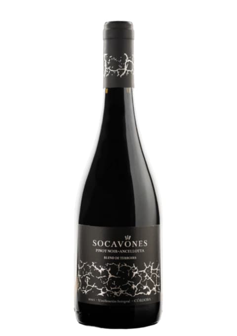 Terra Camiare Socavones "Blend de Terroirs" (Pinot Noir / Ancellotta)