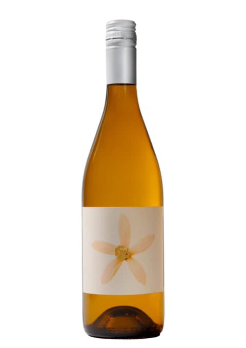 Terra Camiare Naranjo Torrontes con Pieles
