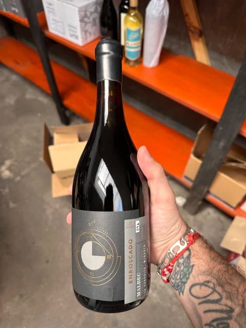 Enroscado Icono Malbec Single Vineyard 2023