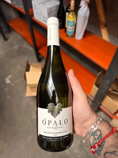 Opalo White Blend Semillon | Sauvignon Blanc