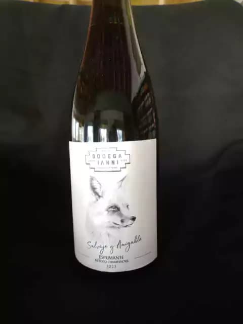 Ianni Espumante brut