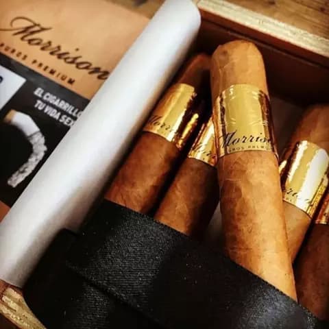 Puros Morrison Coronas Mazo x 25 Unidades