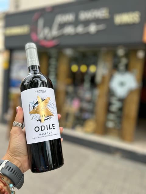 Carinae Odile Malbec