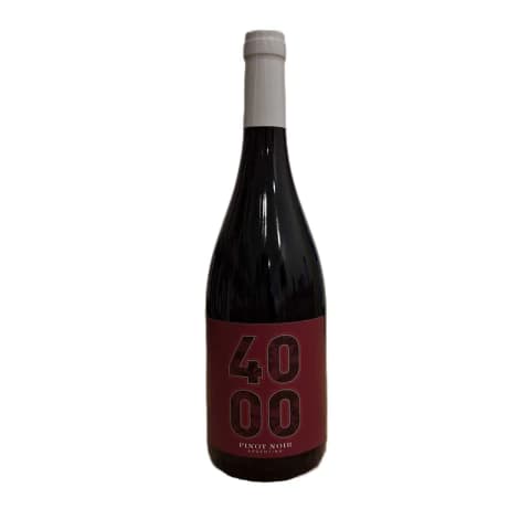 Budeguer "Pinot Noir" Reserva