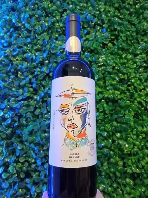 Chateau Subsónico Navegante 2021