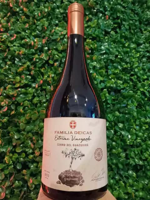 Familia Deicas Extreme Vineyard Cerro del Guazuvirá